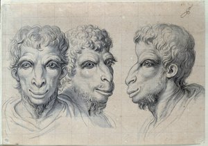 دراسات لثلاثة رؤوس رجال يذكرون علم وظائف الأعضاء في الجمل رسم تشارلز ليبرون (لو برون) (1619-1690) في القرن السابع عشر. خافت. 0،22 × 0،32 م. باريس ، متحف اللوفر بواسطة تشارلز لو برون