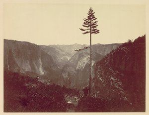 وادي يوسمايت من Mariposa Trail ، c. 1865. بواسطة تشارلز ليندر ويد