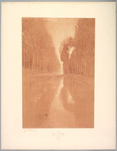 جناح المناظر الطبيعية: المناظر الطبيعية ، اللوحة 2 ، ملاحظة ، زهور النجوم ، 1892-1893. بواسطة تشارلز ماري دولاك