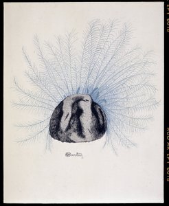 قبعة الأب - "La Mode en 1912" بواسطة مارسيل ديماي ، رسم إيضاحي لتشارلز مارتن (1884-1934) بواسطة تشارلز مارتن