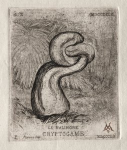 The Sickly Cryptogam ، 1860. بواسطة تشارلز ميريون