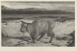 كبش الفداء بواسطة Charles Mottram after William Holman Hunt