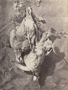 [لا تزال الحياة مع لعبة الطيور] ، 1859. بواسطة تشارلز نيجري