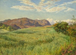 A Highland Oatfield