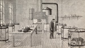كلاب في أقفاص داخل مختبر لويس باستور (1822-1895)، الكيميائي وعالم الأحياء الفرنسي، باريس، فرنسا، نقش من L#39;Illustrazione Italiana، السنة 12، العدد 46، 15 نوفمبر