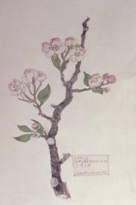 Apple ، Walberswick ، 1915 (قلم رصاص ومرحاض)