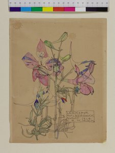 لاركسبور ، 1914 بواسطة تشارلز ريني ماكينتوش