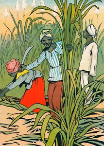 في العمل بين قصب السكر ، 1912 بواسطة تشارلز روبنسون