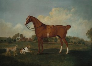 صياد خليج مع كلاب صيد في المناظر الطبيعية ، مع قصر بعد ذلك ، 1779 بواسطة تشارلز تاون