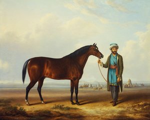 فحل عربي يحمله عريس مع معسكر بعده بواسطة تشارلز تاون