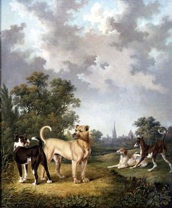 كلاب في منظر طبيعي ، حوالي عام 1820 (زيت على قماش) بواسطة تشارلز تاون