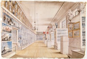 The Long Room ، الجزء الداخلي من الغرفة الأمامية في متحف Peales ، 1822 (مرحاض فوق الجرافيت على ورق) بواسطة تشارلز ويلسون بيل