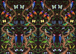 Birds and Butterflies، 2019 (أقلام فرشاة) بواسطة شارلوت أور