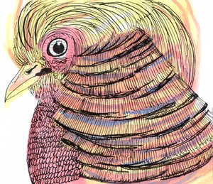 Tropical Bird، 2018 (قلم وحبر وألوان مائية) بواسطة شارلوت أور