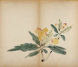مطبوعات استوديو Ten Bamboo ، 1643 (لوح خشبي) بواسطة المدرسة الصينية