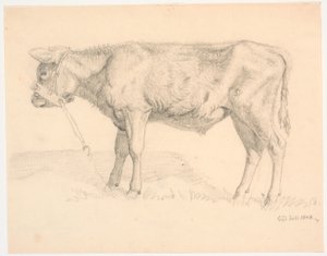 عجل ثور بواسطة Christen Dalsgaard