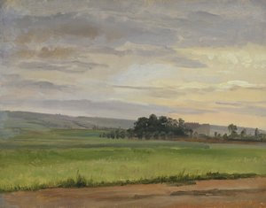 A Cornfield بالقرب من درسدن ، 1833 (زيت على ورق موضوع على ورق مقوى) بواسطة كريستيان فريدريش جيل