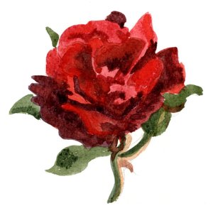 بواسطة كريستيان فور