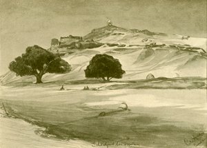 أسوان ، مصر ، 1898. بواسطة كريستيان فيلهلم أليرز