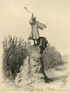 رجل يخيف الطيور ، طيبة ، مصر ، 1898. بواسطة كريستيان فيلهلم أليرز