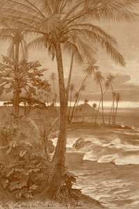 الشاطئ في وايكيكي ، هاواي ، 1898. بواسطة كريستيان فيلهلم أليرز