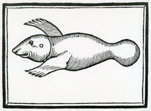 سمكة تسمى "Manati" من "التاريخ العام للجزر" 1547
