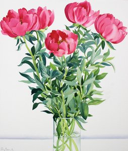 نباتات الفاونيا (ألوان مائية على ورق)