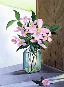 Still Life Pink Clematis (ألوان مائية على ورق) بواسطة كريستوفر ريلاند