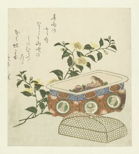 ضفدع ورذاذ كيريا جابونيكا بواسطة Chôtei Hisazumi
