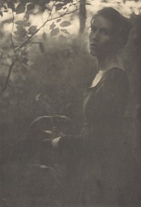 حافة الغابة ، مساء ، 1900. بواسطة كلارنس إتش وايت