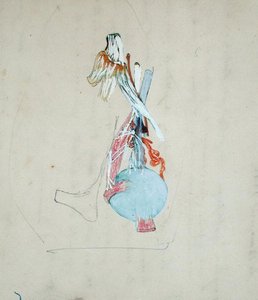 الجهاز العصبي في رأس قطة ، 25 مايو 1842 (قلم رصاص وألوان مائية على ورق) بواسطة كلود برنار