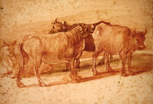 أبقار (طباشير أحمر على ورق) بواسطة كلود لورين