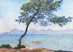 انتيبس ، 1888