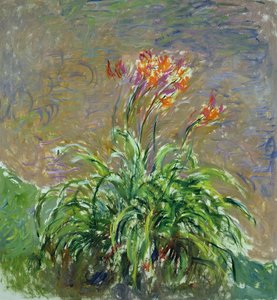 Hemerocallis ، 1914-17 بواسطة Claude Monet