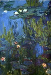 نيمفاس ، 1914-1917 بواسطة Claude Monet