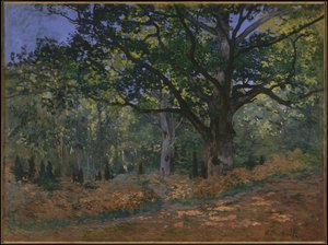 The Bodmer Oak ، غابة فونتينبلو ، 1865 بواسطة كلود مونيه