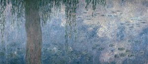Waterlilies: صباح مع الصفصاف يبكي ، 1914-18 (القسم الأيمن) بواسطة كلود مونيه