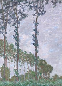 تأثير الرياح ، سلسلة Poplars ، 1891 بواسطة كلود مونيه