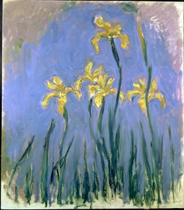 قزحية صفراء Les Iris Jaunes ، حوالي 1918-1925 (زيت على قماش) بواسطة كلود مونيه