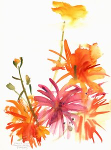 القطيفة والزهور الأخرى ، 2004
