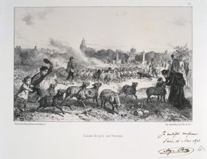 الحرب الفرنسية البروسية 1870-1871: طرد قطيع من الأغنام لحرمانهم من الوقوع في أيدي البروسيين. من سلسلة من المطبوعات الحجرية لكليمنت أوغست أندريو على جاردس ناشوناليس.