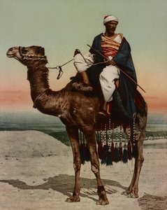 بدوي ، القاهرة ، مصر بواسطة شركة فوتوجلوب