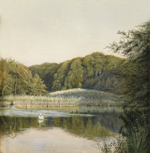بجعة على بركة بادينغتون ، 1860 (مرحاض على ورق)