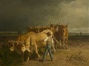 حرث الثيران ، 1860