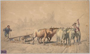 أربعة ثيران تسحب المحراث ، 1853.