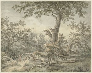 المناظر الطبيعية للغابات بواسطة Cornelis Buys