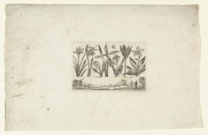 صف من الزهور فوق المناظر الطبيعية الزهور والمناظر الطبيعية (عنوان السلسلة) بواسطة نيكولاس كوتشين