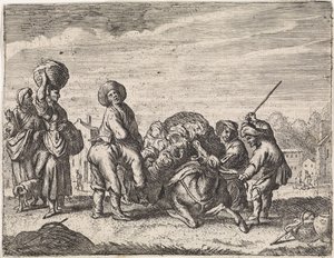 نهيق الحمار مشاهد النوع (عنوان المسلسل)