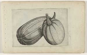 اثنين من البطيخ تعرف على الزنابق (عنوان المسلسل) بواسطة Crispijn van de Passe (I) (منسوب إلى)