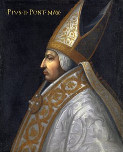 صورة البابا بيوس الثاني ، 1560